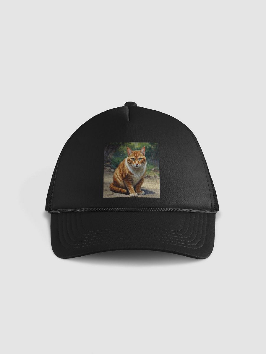 Cat product image (1)