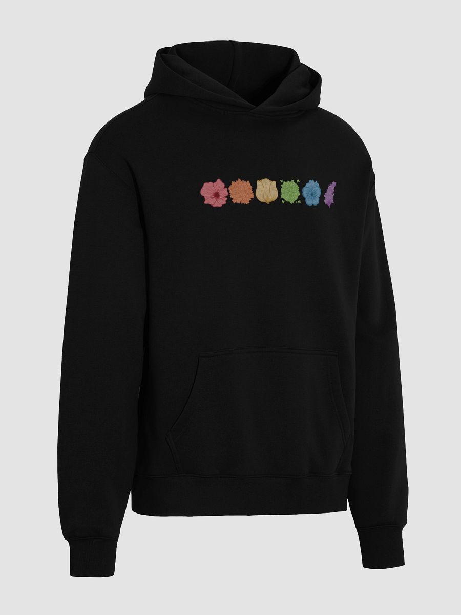 Cozy Pride Hoodie product image (4)
