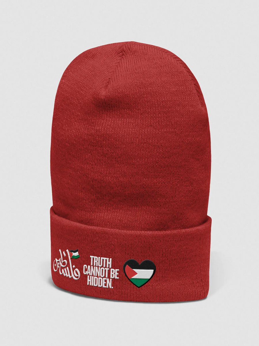 Palestinian Flag Dove Cuffed Beanie | Truth cannot be hidden. product image (3)