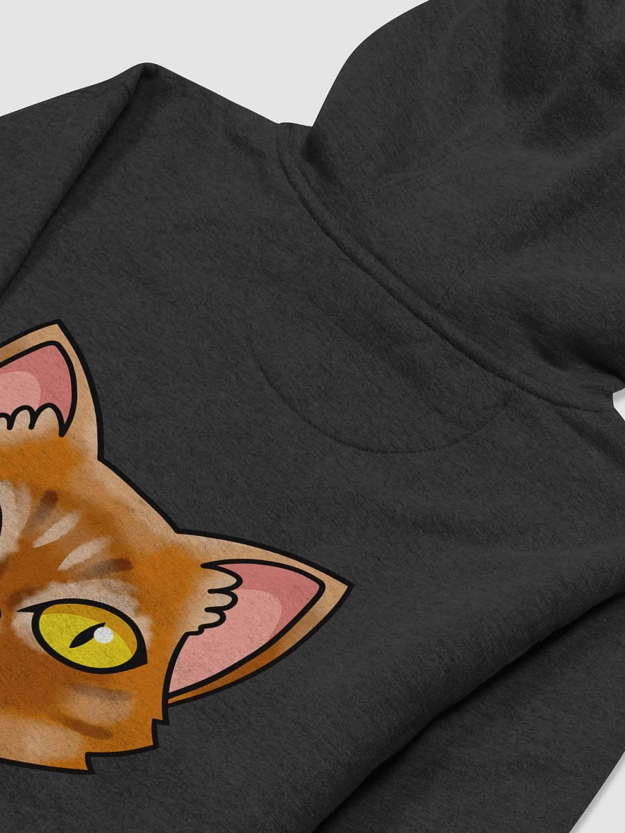 SASSY Pullover Hoodie product image (4)