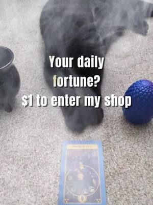 He's back! When a cat tells you your fortune... #cats #fortune #funny #comedy #blackcats #catsoftiktok #fortuneteller #fyp #whenacattellsyouyourfortune 