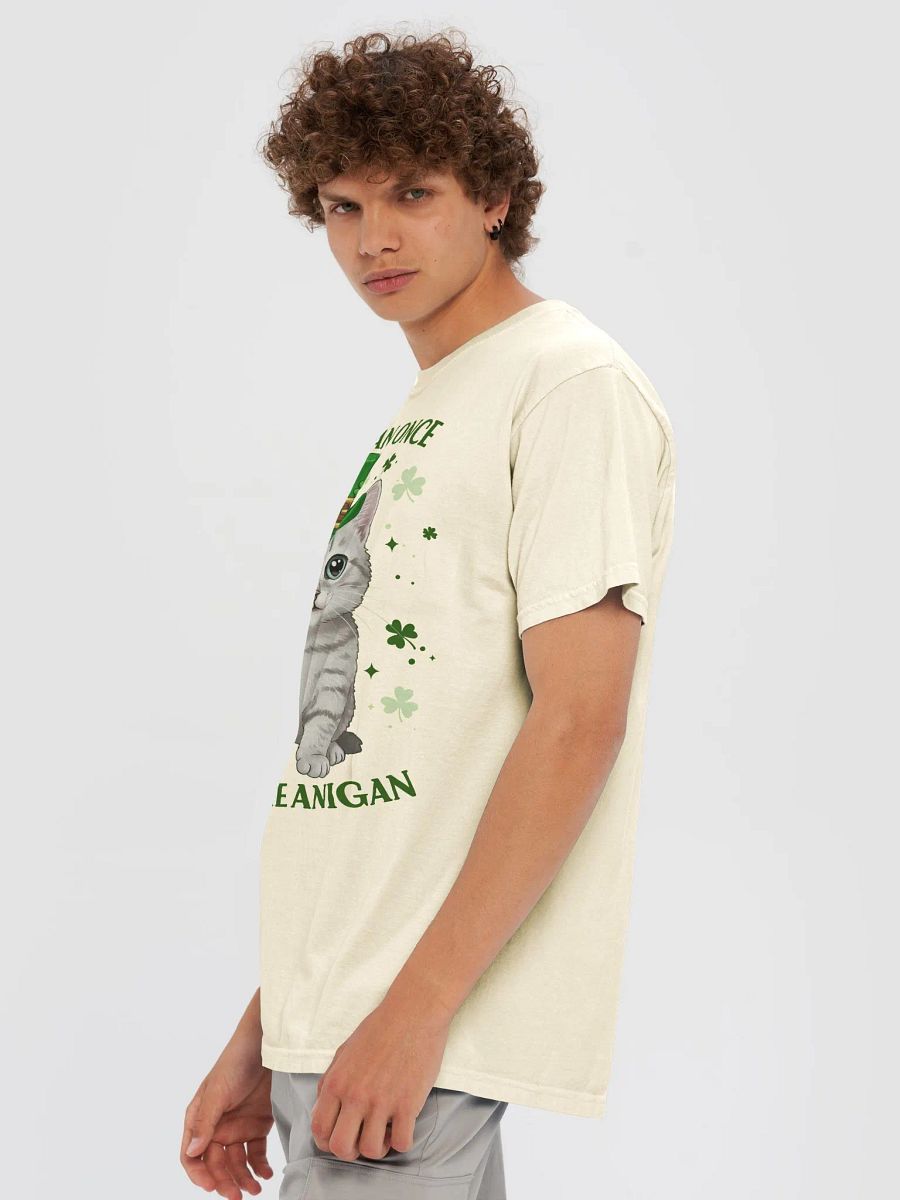 If I Shenan Once, I’ll Shenanigan - Cute St. Patrick’s Day Cat T-Shirt product image (29)