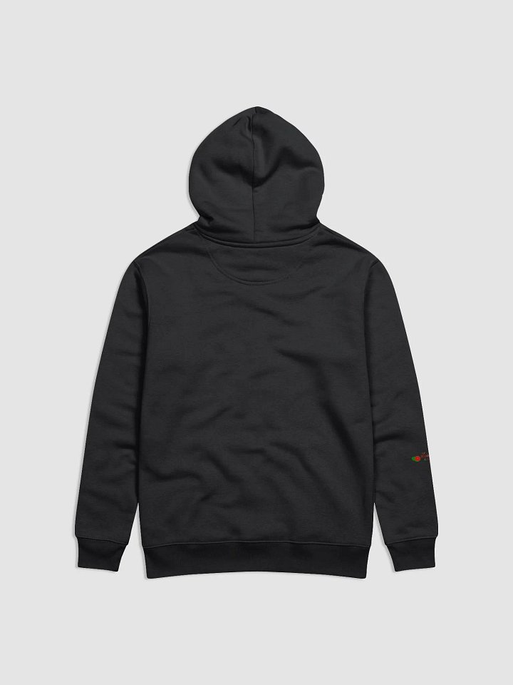 Raw Intuition Game Show Eco Hoodie product image (2)