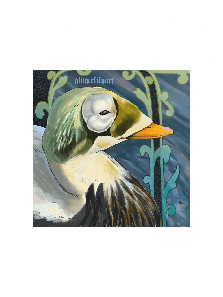speckled eider duck product image (1)