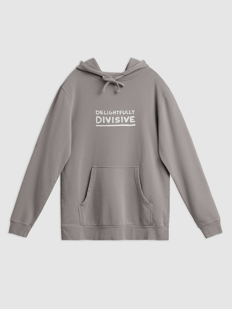 DELIGHTFULLY DIVISIVE (large white design) printed pigment hoodie product image (7)