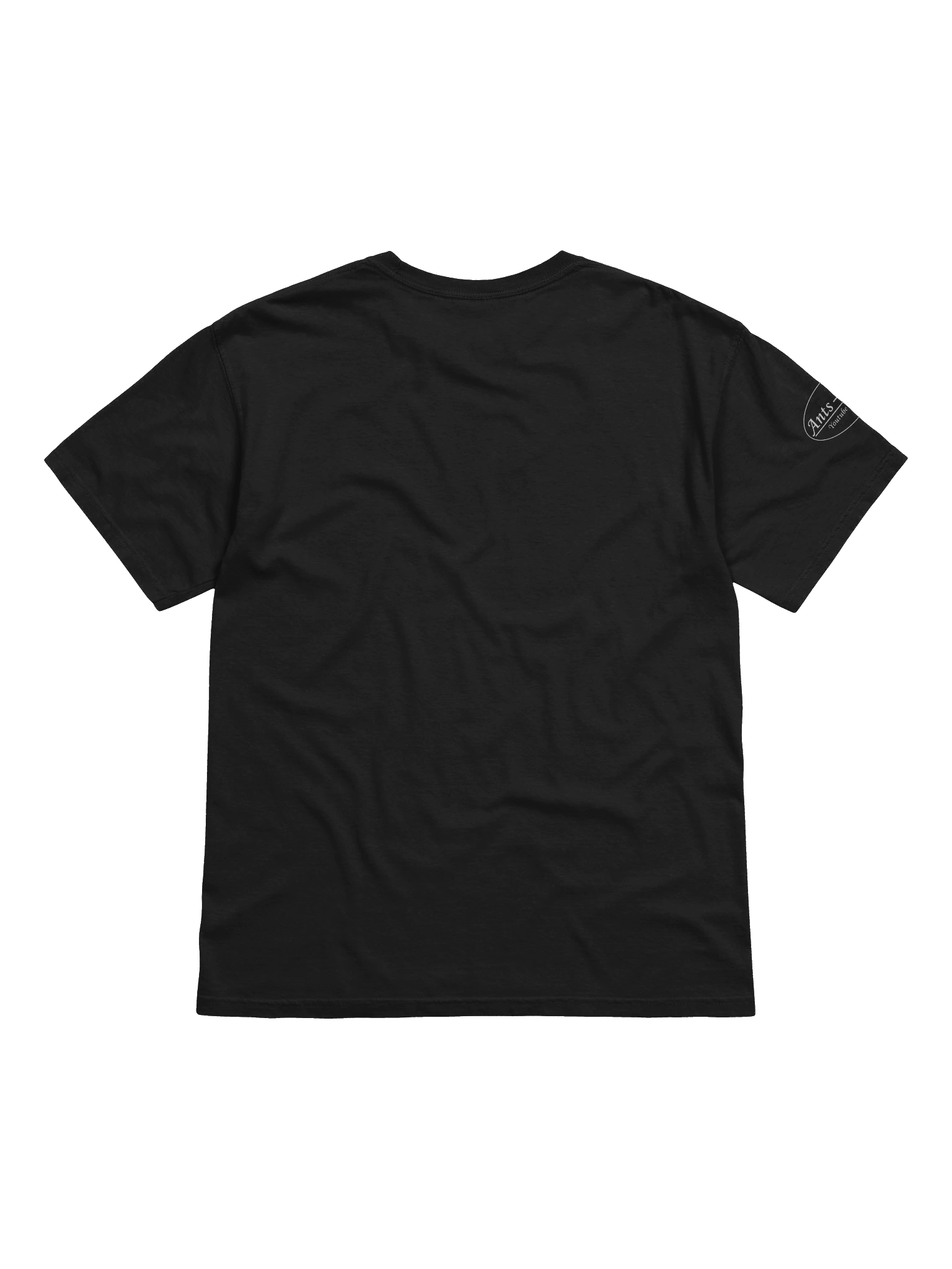 The Crappy T-shirt product image (2)