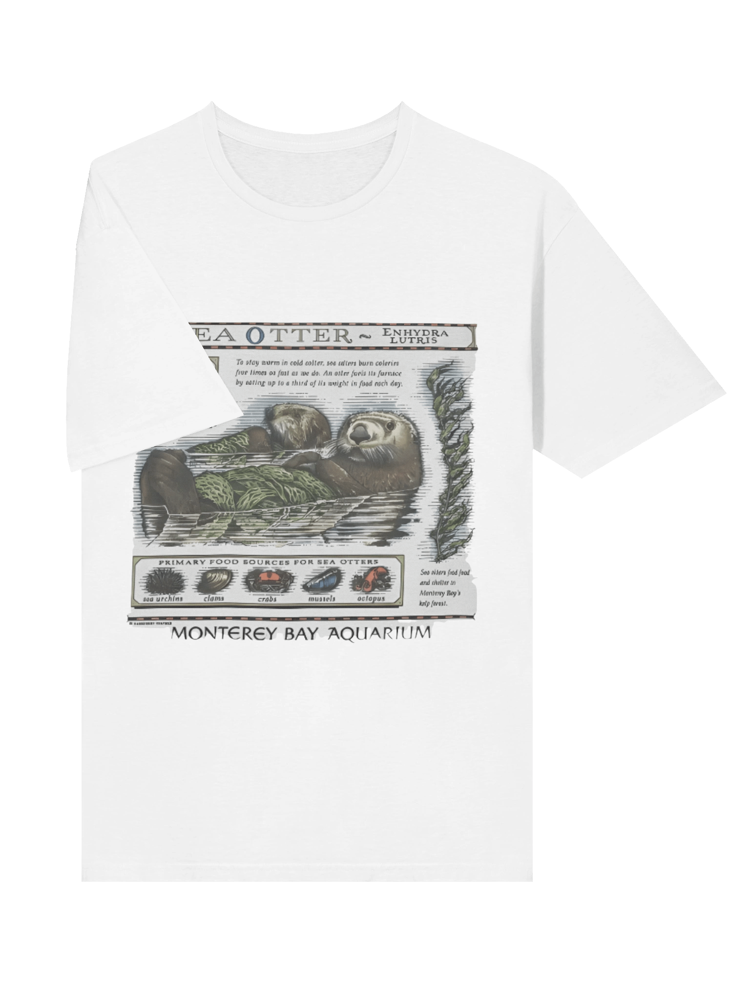 Sea Otter Monterey Bay Aquarium T-shirt product image (3)