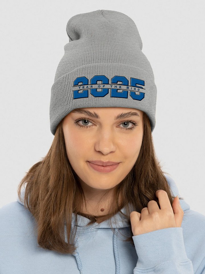 Blue "Year of the Bird" Beanie product image (1)