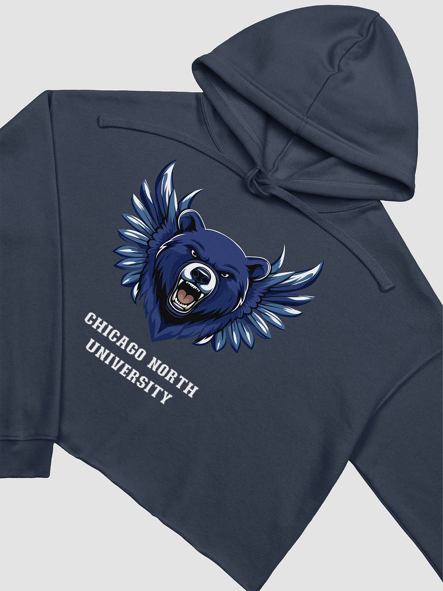 Chicago North Bearhawk Crop Top Hoodie product image (14)