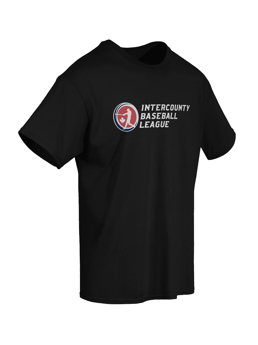 IBL LOGO TEE product image (3)