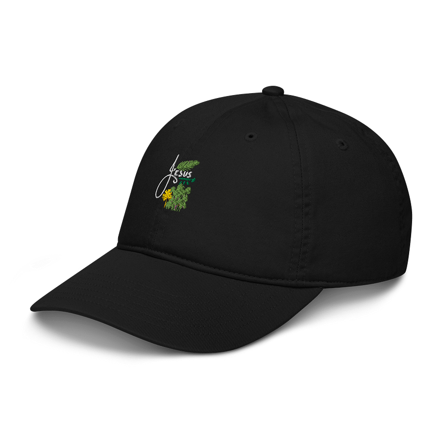Organic Scissor and Plant Dad Hat product image (4)