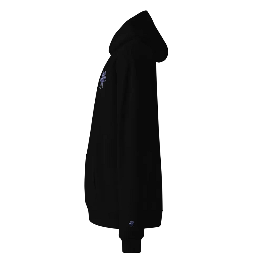 Low-key love for Cinema Cameras - Embroidered Hoodie product image (4)