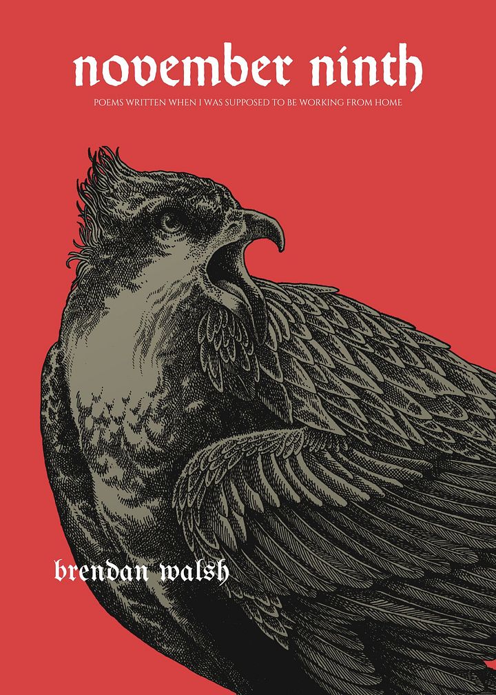 november ninth: poems written while i was supposed to be working from home By Brendan Walsh product image (1)
