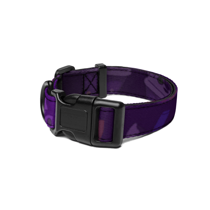Boba Purple Pet Collar product image (1)