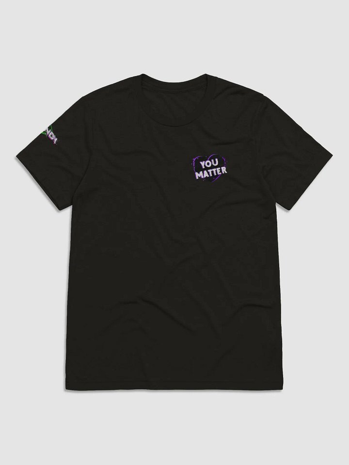 You Matter - Men's Triblend Short Sleeve product image (1)