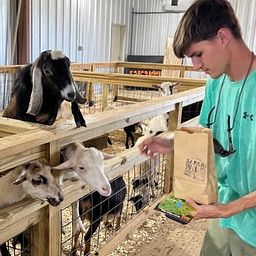 Billy Goat Nation