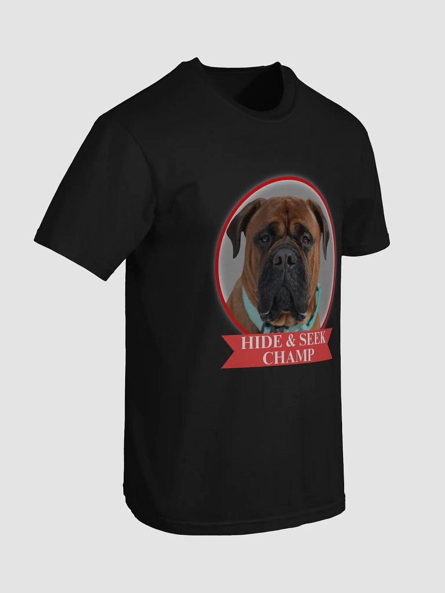 Hide & Seek Champ Tee product image (2)
