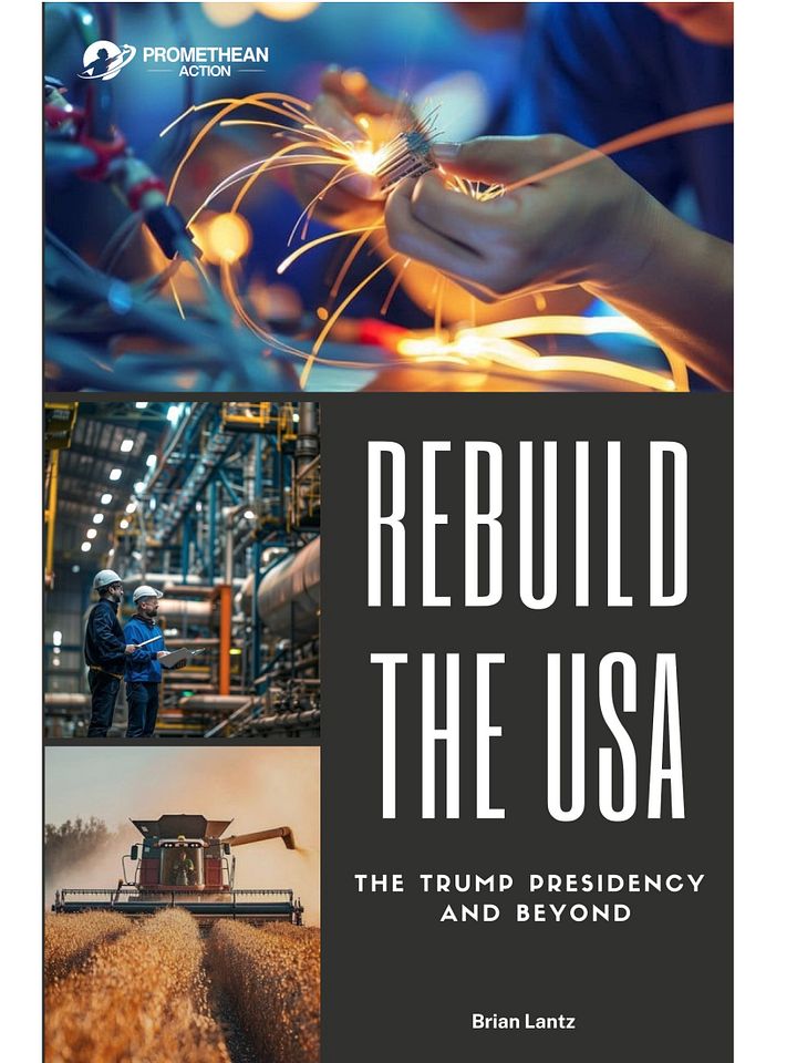 Rebuild the USA: The Trump Presidency and Beyond - Digital Edition (.epub) product image (1)