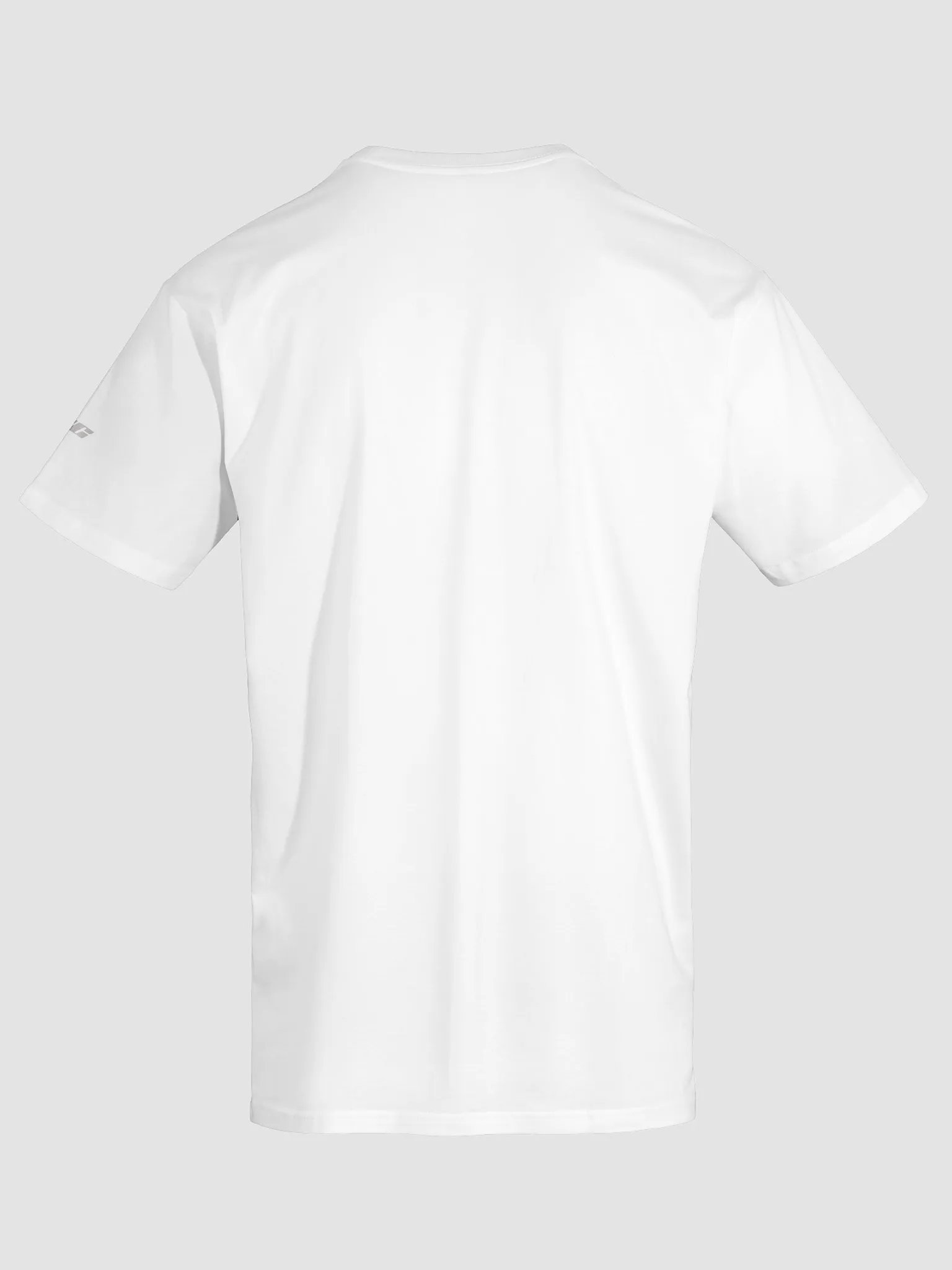 Legendary Lion Unisex T-Shirt product image (6)