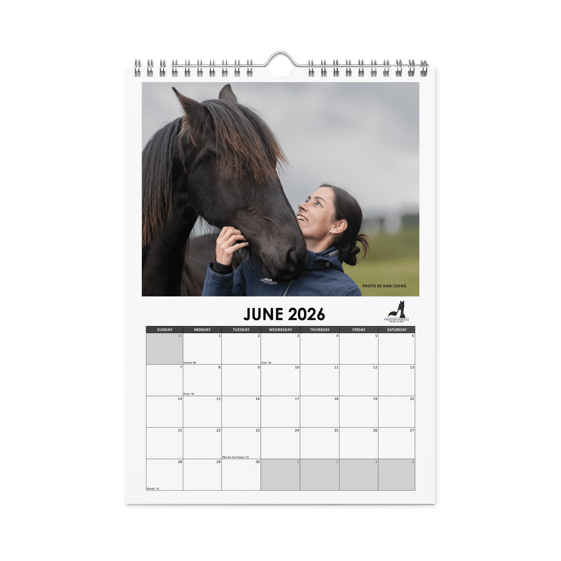 Friesian horses 2026 Wall Calendar product image (8)