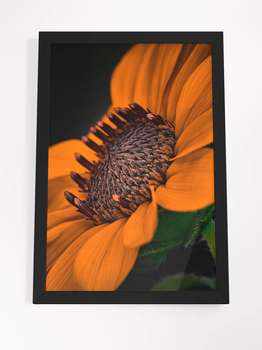Orange You Glad Sunflower product image (4)