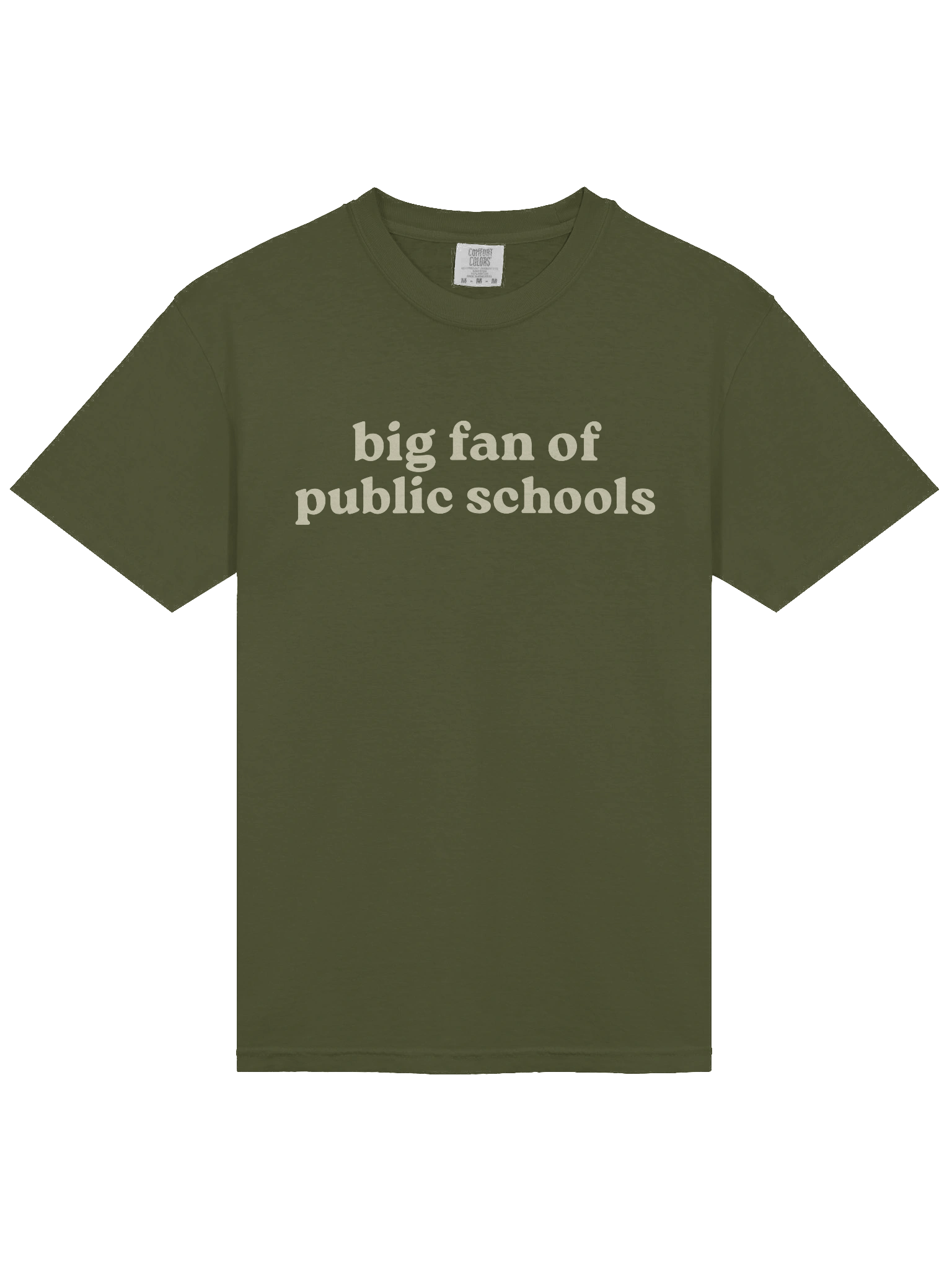 Big Fan of Public Schools Tee product image (3)