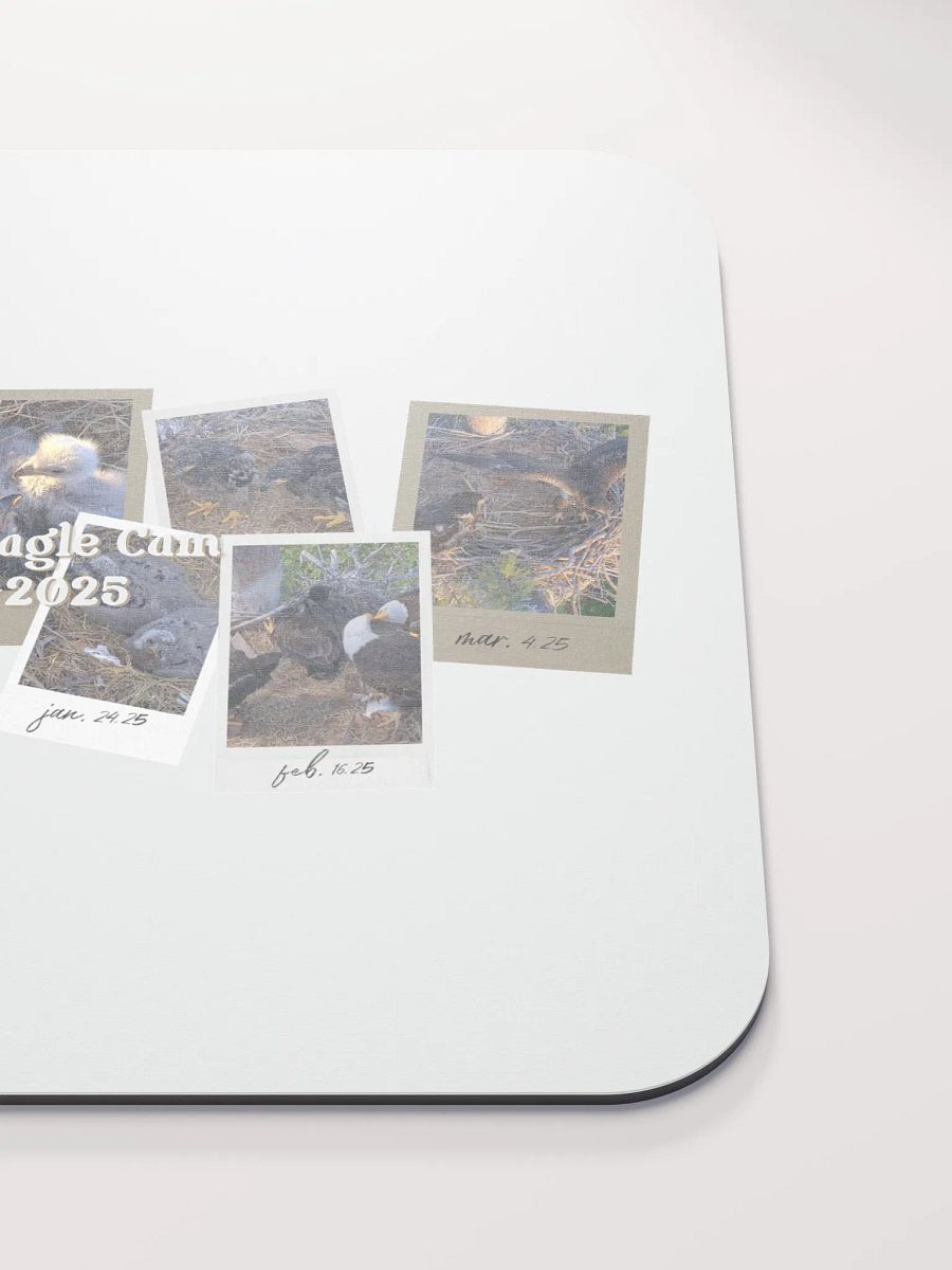 Journey | Mouse Pad | Captiva Eagle Cam 2024-2025 product image (4)
