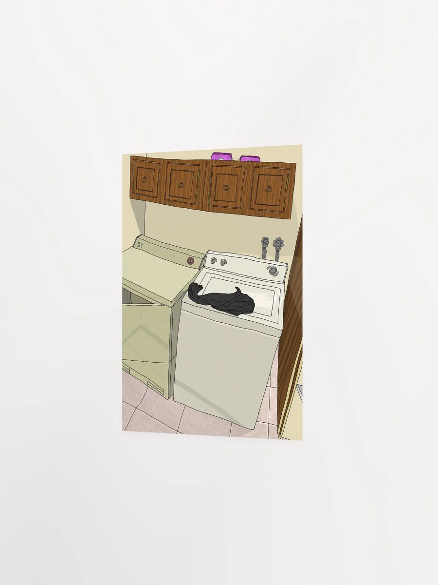 laundry product image (3)
