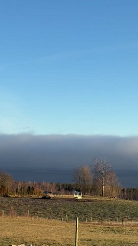 Kommer ni ihåg förra året – nu är det dags igen! ✈️🎄

Snart är julgransflygningarna tillbaka över Sverige och i år är det stö...