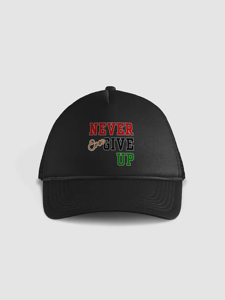 Never Ever Give Up product image (1)