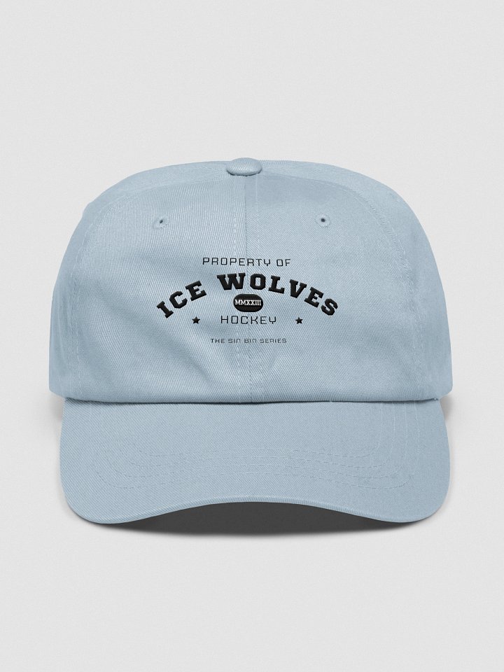 Athletic Dept. Dad Hat product image (1)