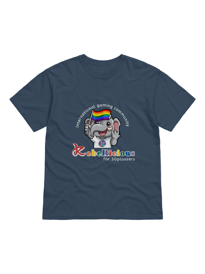 Comfort Colors Pride T-shirt product image (49)