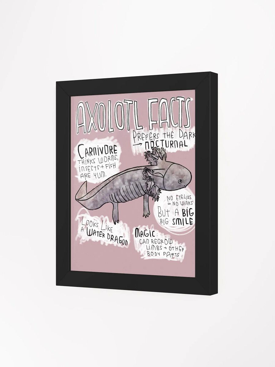 Axolotl Fun Facts, Axolotl Trivia product image (15)