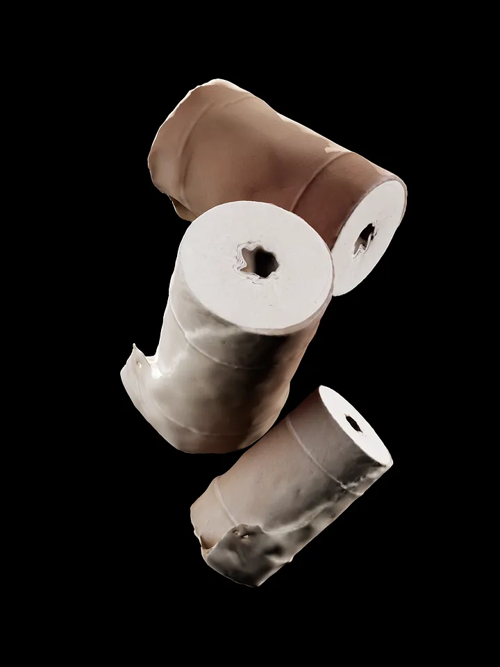 Toilet Paper 3D Scan product image (1)