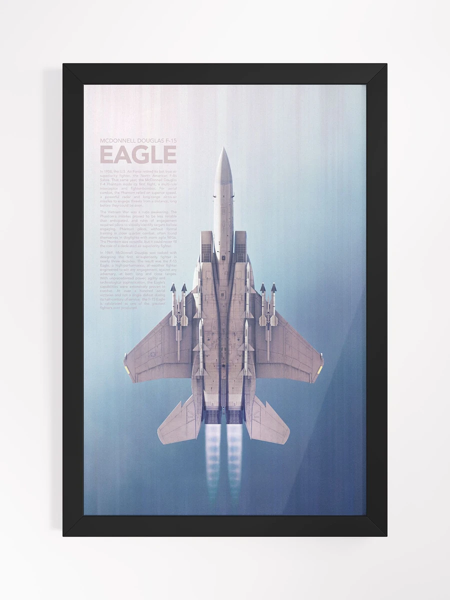 F-15 Eagle Framed Artwork product image (2)