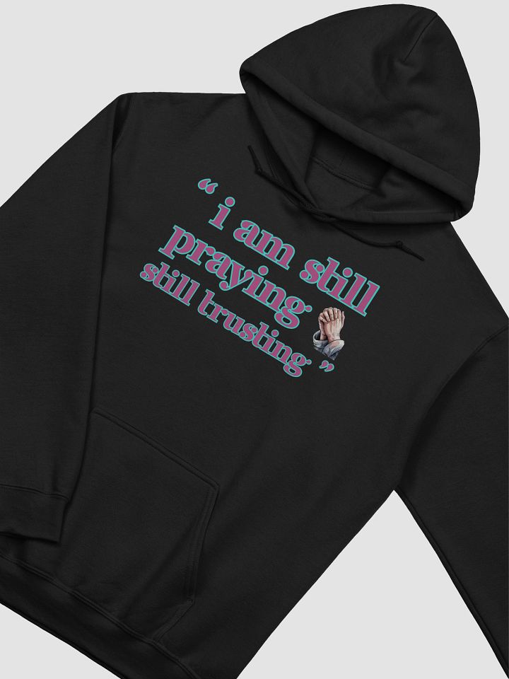 I am Still Praying, Still Trusting Gildan Hoodie. product image (2)