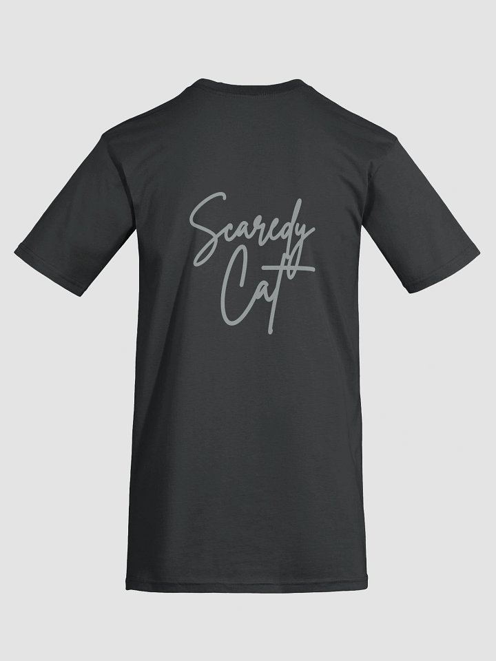 Straight Outta Tour Vintage Tee product image (2)