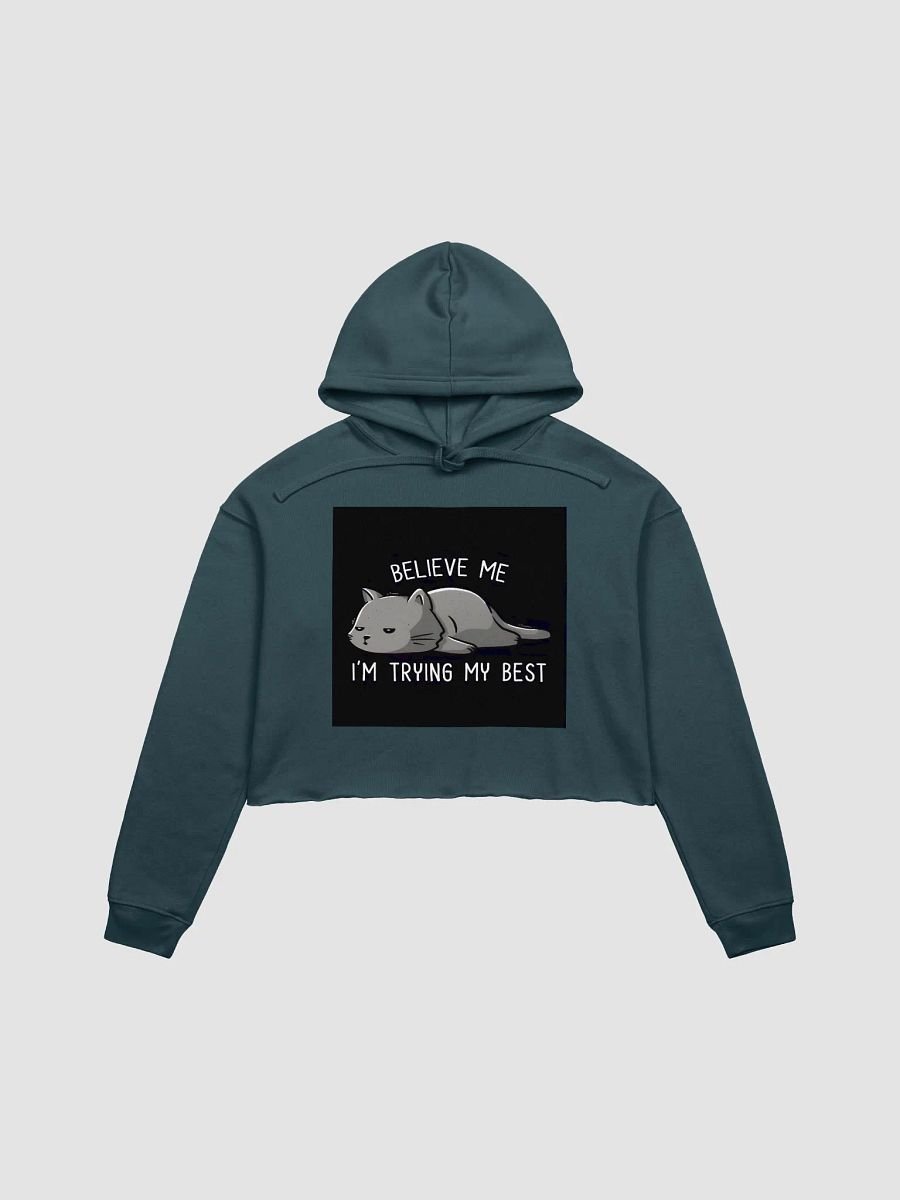 Trying My Best Cat Crop Hoodie product image (23)