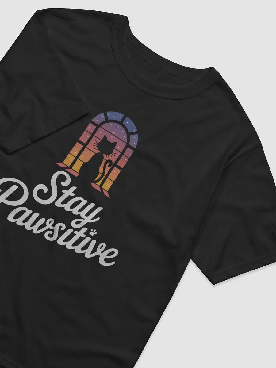 Stay Pawsitive Archway Tee product image (20)