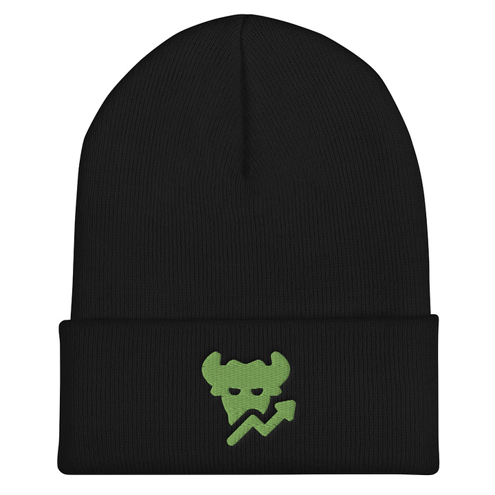 Cuffed Beanie product image (1)