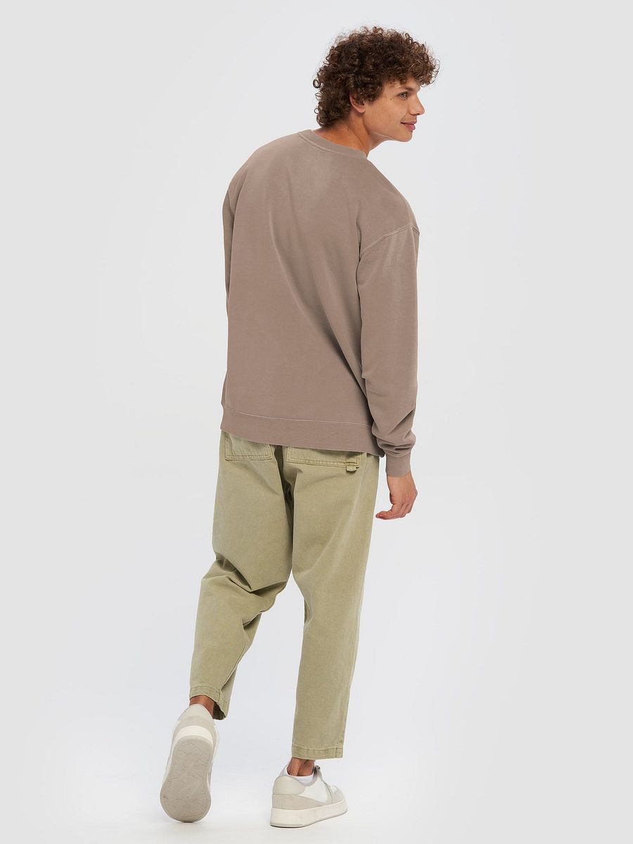 pierist view point product image (4)
