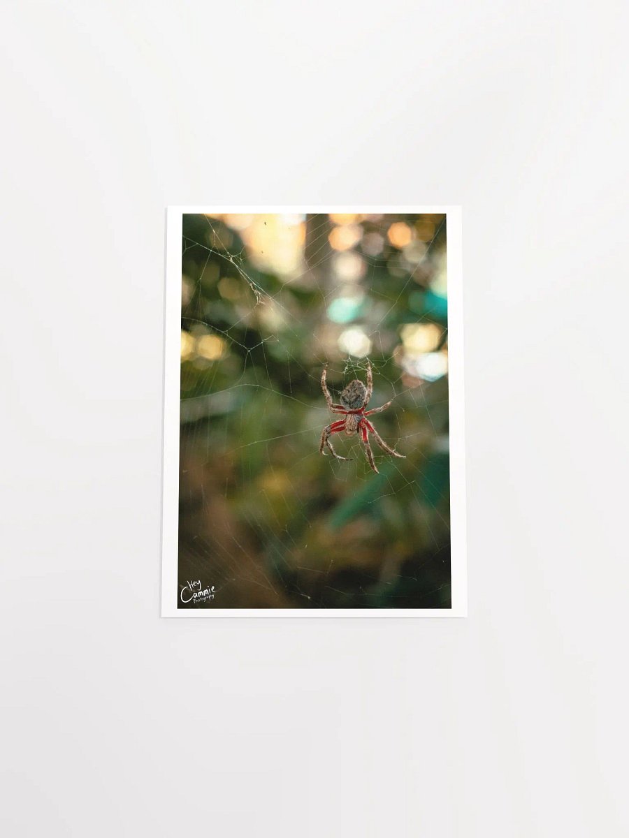 The Spiders Web - Print product image (4)