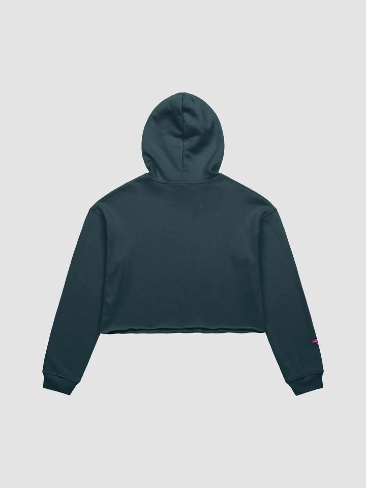 Post a Bridge Crop Top Hoodie product image (2)