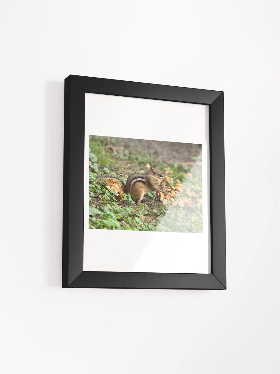 Chipmunk Delight Matte Poster product image (12)