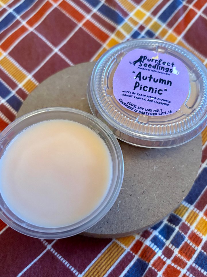 Autumn Picnic Wax Melt (LIMTED EDITION) product image (2)