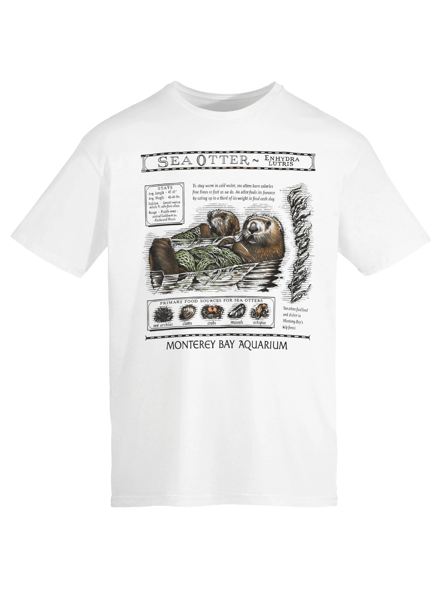 Enhydra Lutris Unisex Tee product image (49)