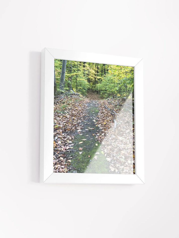 Trail in the Fall High Quality Matte Poster product image (2)