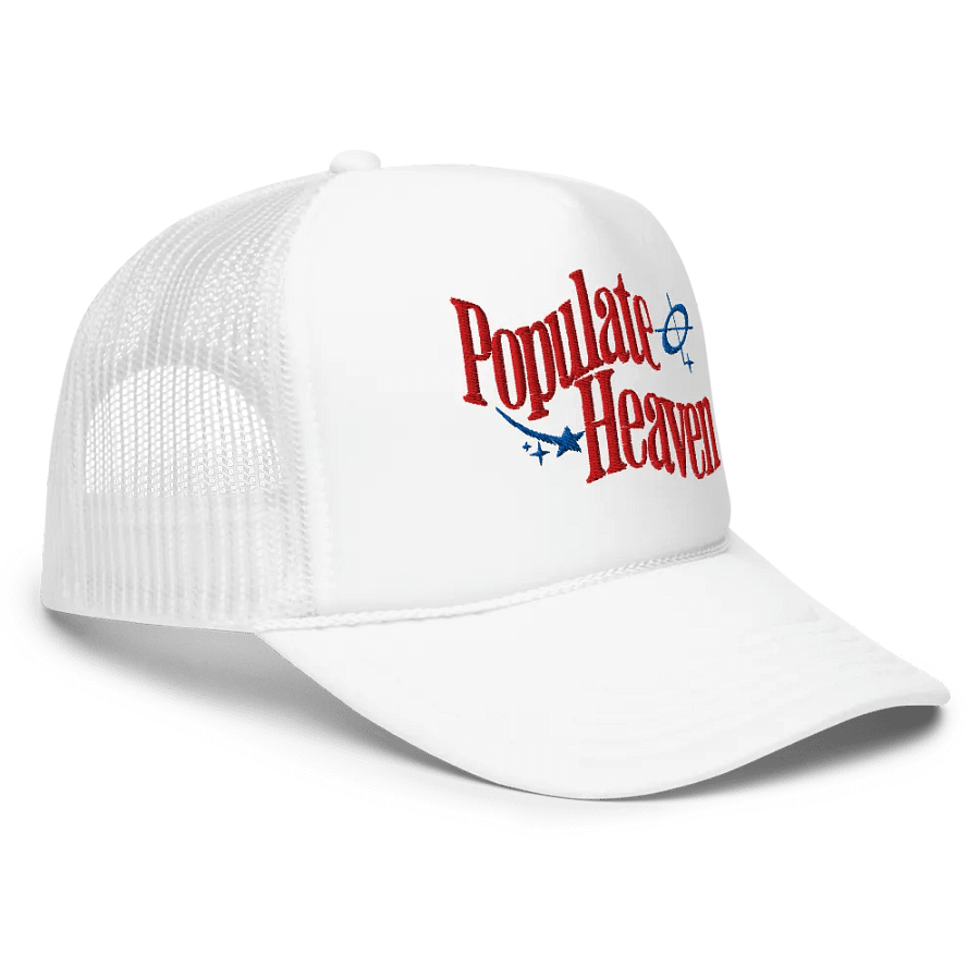 Populate Heaven Hat product image (3)
