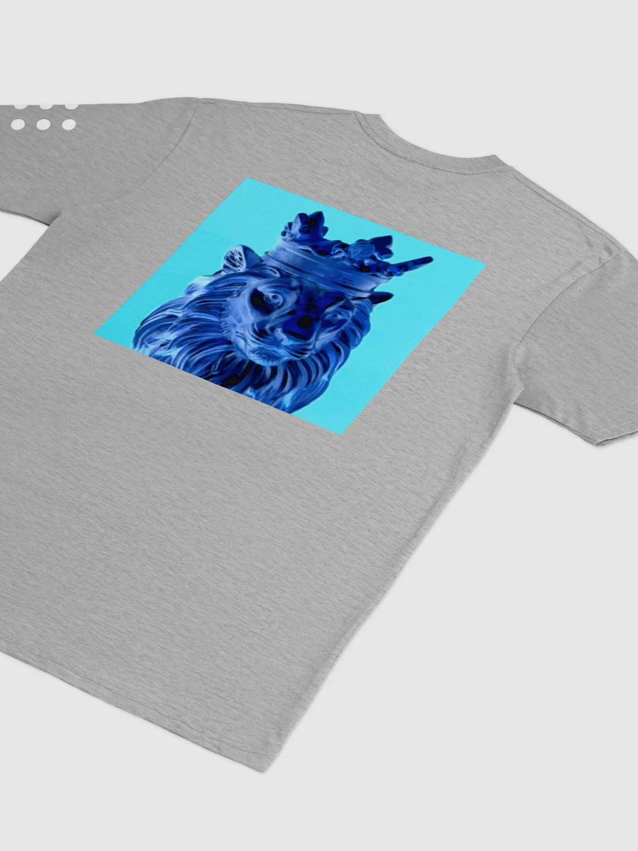 R O I product image (4)
