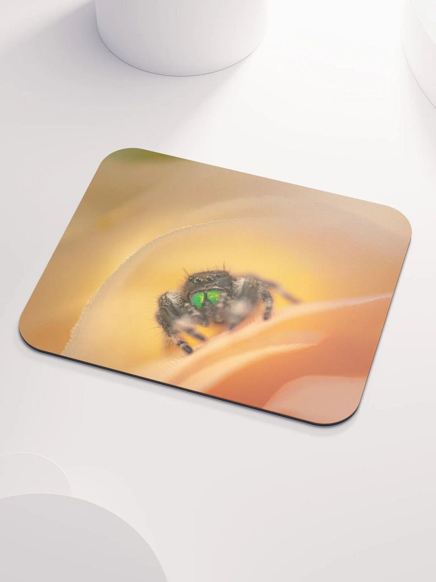 Carl's Pad product image (3)